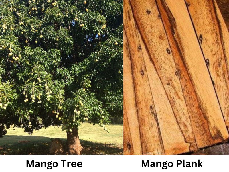 mango wood