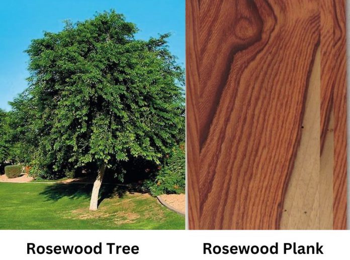 Everything You Need to Know About Rosewood Furniture