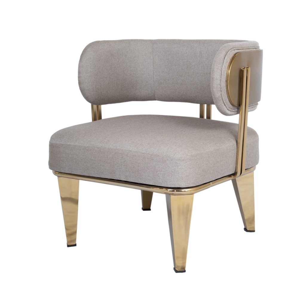 Monschau Modern Steel Upholstered Accent Chair